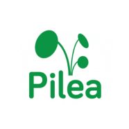 PILEA