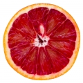 Orange sanguine