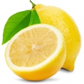 Citron