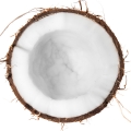 Litchi