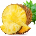 Praliné